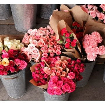 生命如花，绽放独特之美