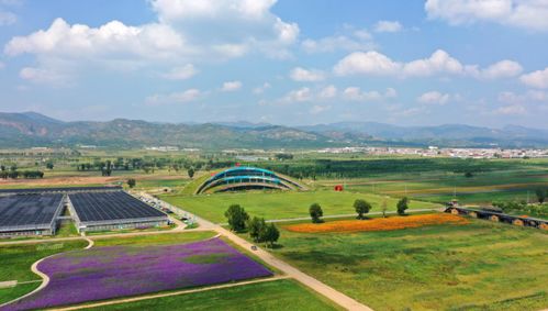 哈尔滨中央大街的秘密