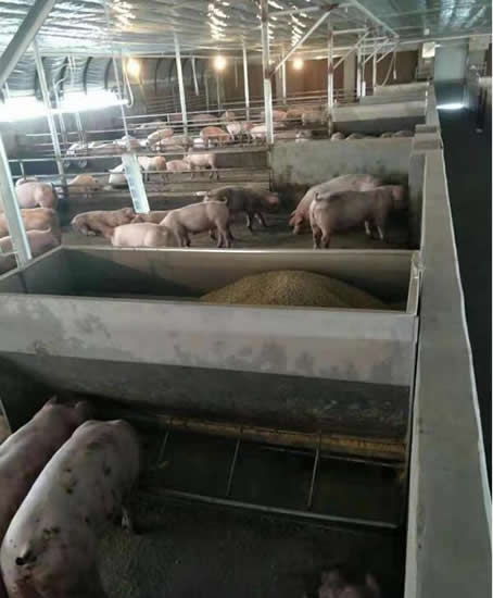 保育料和育肥料槽在成分和用途上有什么区别？