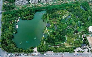 绿化，它是个啥？