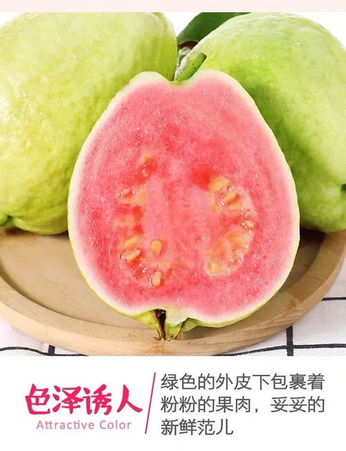 guava是什么水果？和芭乐果是同一种水果吗