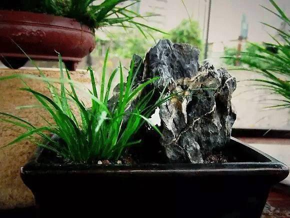 晋中王大叔的经验