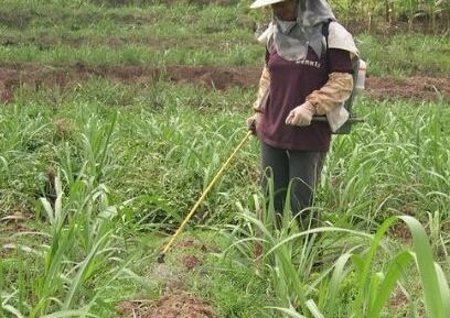 听说有的人说喷完一会儿就Nengkan到效果， 有的人说半天dou不行