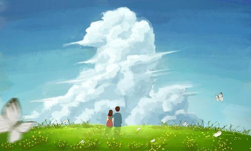 迷失方向，花语疗愈 —— 探索心灵的出口之旅