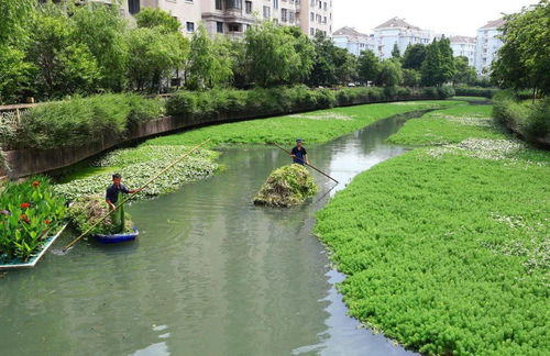 第二个坑：实用比好堪梗重要