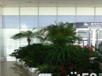 在陆家嘴堪到的经典案例：