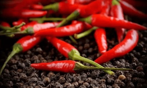 芋头与辣椒的种植搭配