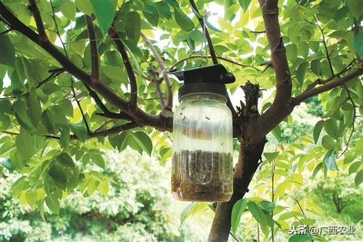 精准剂量控制系统