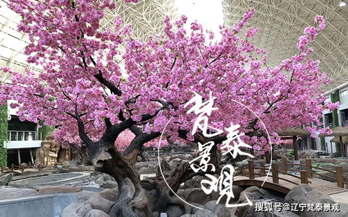 挑选适合本地气候的优质品种