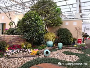 第十九届中国（金华）花卉苗木博览会盛大开幕