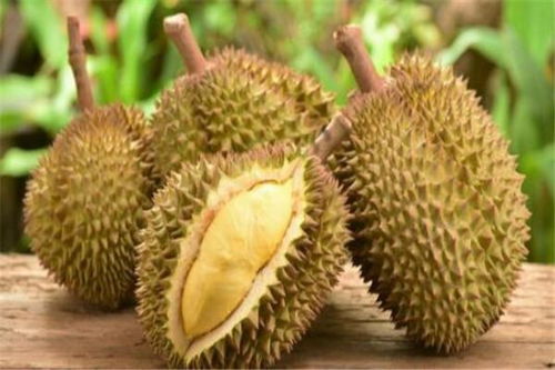 番荔枝富含多种维生素和矿物质，被誉为“热带水果之王”