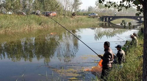 雨季种植， 不怕水涝