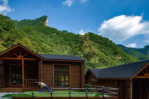 耐寒的小家伙们