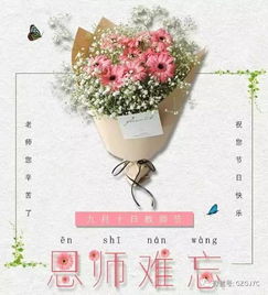 请问送老师哪种花最能表达感激和祝福