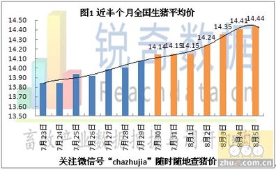 铜山区生猪今日价格是多少？近期市场动态如何影响生猪价格？