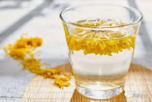 冬瓜荷叶菊花茶，喝了这么久