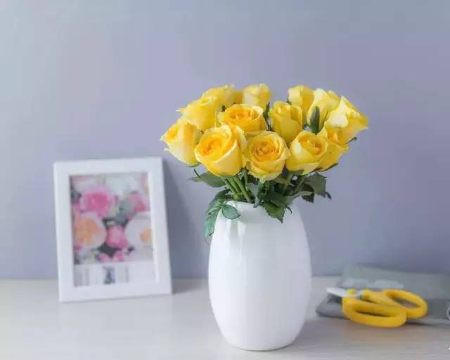 收到红袖玫瑰，如何让它保持鲜艳？