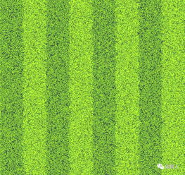 草坪种植那些事儿：单播、 混播、交播、追播大揭秘