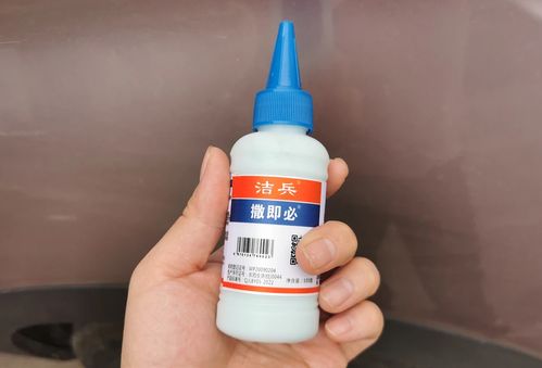 壁虎的生存能力