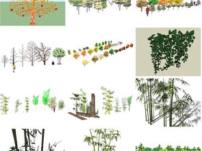 花草树木的搭配