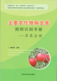 水果的甜蜜秘密