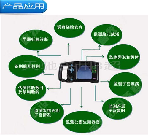 猪锉牙综合征防重于治，优化饲料结构