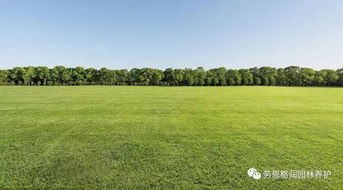 草坪害虫的特点