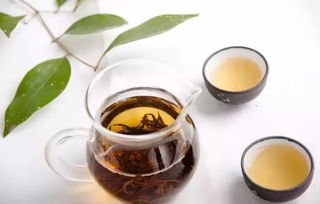 奇兰茶，源自福建