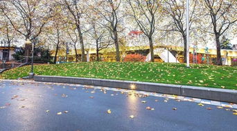 可持续发展：保护生态，美化环境