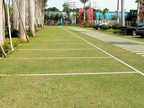 二、 适合高速公路绿化带的树种