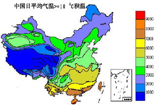 农业革新：水循环技术显著提升作物产量与可持续性