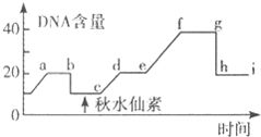 白矾的变身记