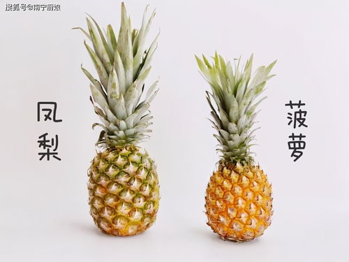 菠萝表皮粗糙，凤梨光滑