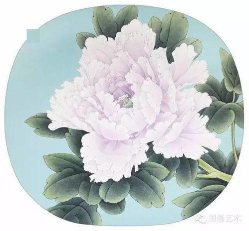 牡丹花色怎么涂？5分钟速成
