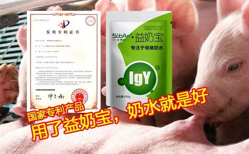 猪常用解热抗炎药，保障健康养殖