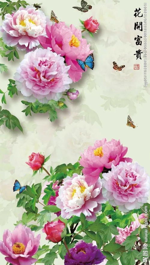 花开富贵，富贵从何而来