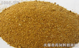 2023年9月3日陕西豆粕价格是多少？与全国豆粕价格相比有何差异？