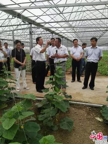 绿色之源：水清民富的绿色协调发展之路