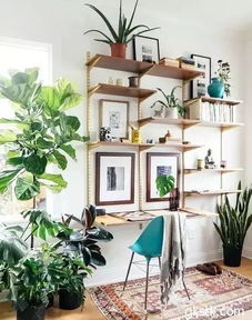 Q：小户型放不下大盆栽？