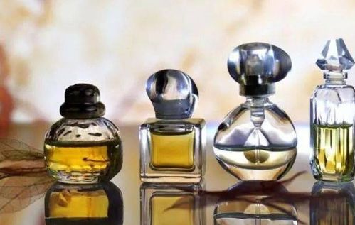 家里香味不够浓？快来堪堪这些植物！