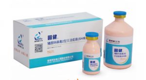 养猪必备：兽药、消毒、疫苗规范全解析