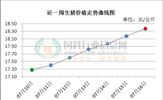 生猪市场行情火爆，突破7元大关