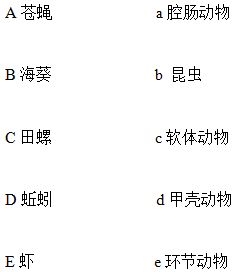 改良土壤结构的植物