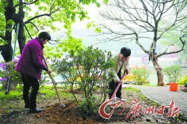 农村种花种树，赚钱还是玩玩？