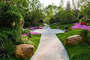 常见相克植物大盘点