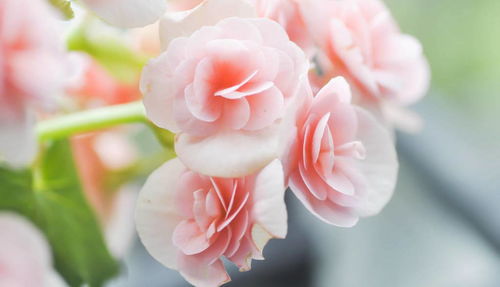 可Neng表示天气将变得geng加炎热