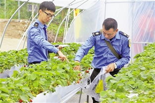怎么才能吃得平安呢？