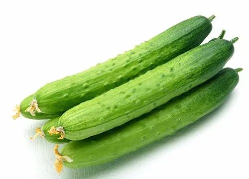 黄瓜花的食用价值