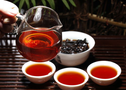 香巴拉茶品鉴：揭秘阮宗堂茶叶价格及品质之谜