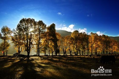 太阳与色彩的完美结合